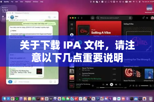 关于下载 IPA 文件，请注意以下几点重要说明