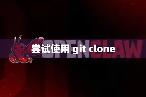 尝试使用 git clone