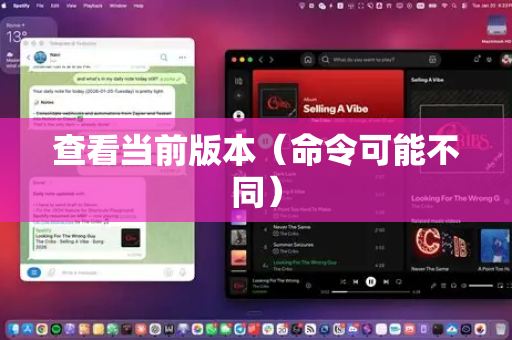查看当前版本（命令可能不同）