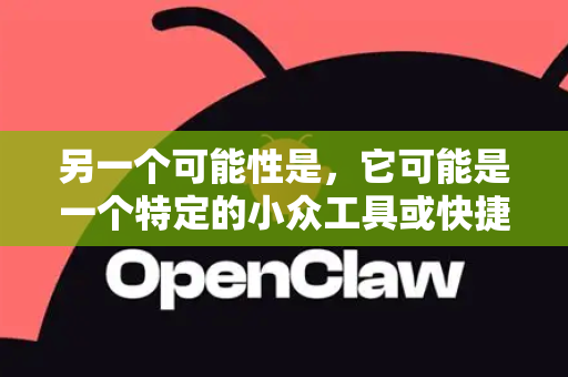 另一个可能性是，它可能是一个特定的小众工具或快捷键软件