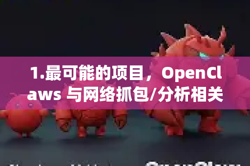 1.最可能的项目，OpenClaws 与网络抓包/分析相关)